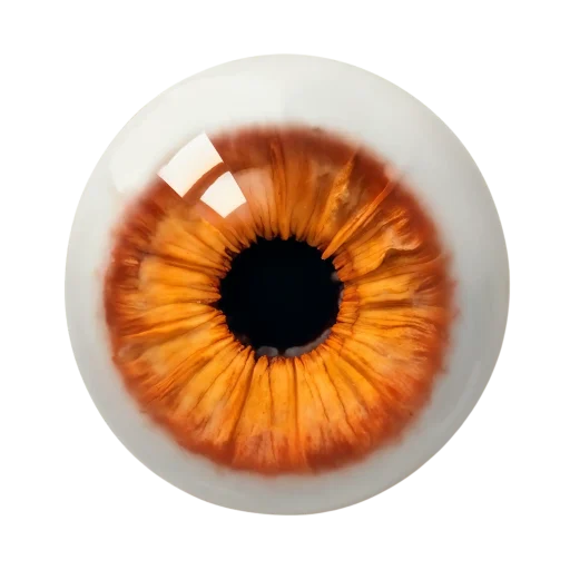 371241779_11468405 371241779_11468405